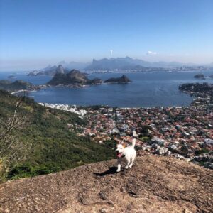 Zeca Jack Rusel Trilha Niterói