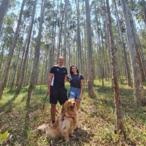 Perola golden retriever em Visconde de Mauá