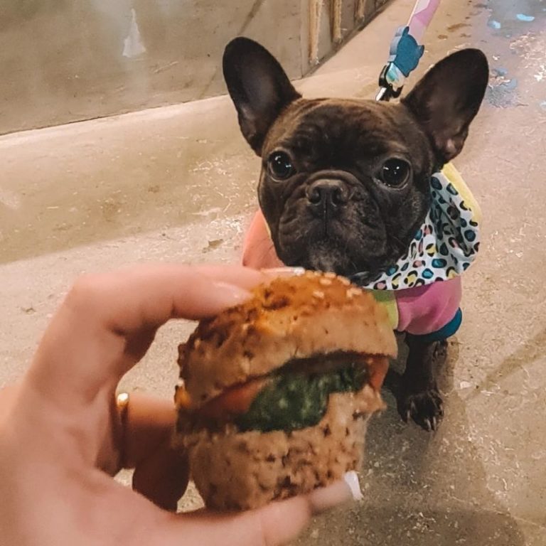 Stella Buldogue em hamburgueria em Ilha do Governador