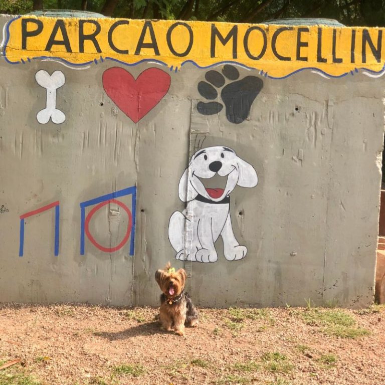 CEO Maya york em parcão na Barra da Tijuca